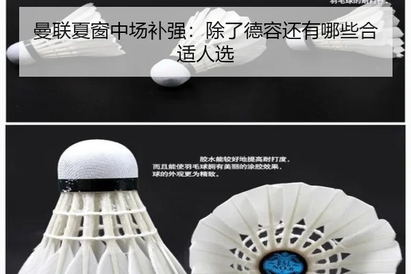 曼联夏窗中场补强：除了德容还有哪些合适人选